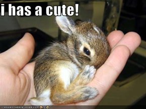 i has a cute!