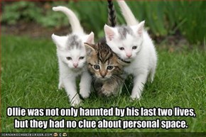 Ollie was not only haunted by his last two lives,but they had no clue about personal space.