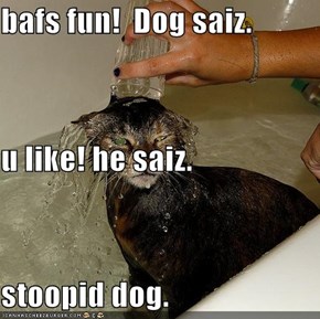 bafs fun!  Dog saiz. u like! he saiz. stoopid dog.
