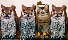 uh...                                              hoot?