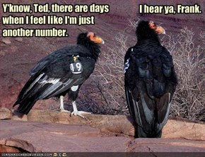 Y'know, Ted, there are days when I feel like I'm just another number.