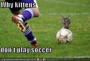 Why kittens  don't play soccer