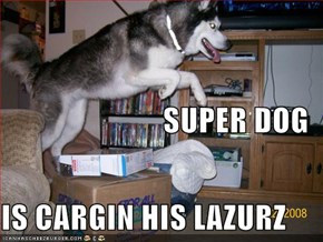 SUPER DOG IS CARGIN HIS LAZURZ