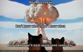 We'll meet again Don't know where, don't know when But I'll know we'll meet again some sunny day