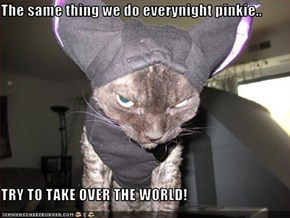 The same thing we do everynight pinkie..  TRY TO TAKE OVER THE WORLD!