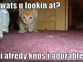 wats u lookin at?  i alredy knos i adorable