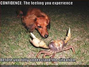 CONFIDENCE: The feeling you experience   before you fully understand the situation.