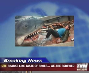 Breaking News - SHARKS LIKE TASTE OF SHOES... WE ARE SCREWED