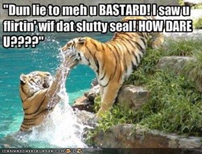 "Dun lie to meh u BASTARD! I saw u flirtin' wif dat slutty seal! HOW DARE U????"