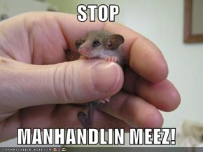 STOP  MANHANDLIN MEEZ!
