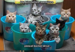 Itty bitty kitteh committee  annual bucket drive
