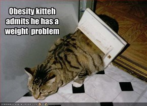 Obesity kittehadmits he has a weight  problem