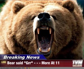 Breaking News - Bear said "Grr" - - - More At 11