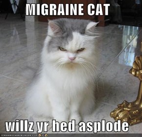 MIGRAINE CAT  willz yr hed asplode