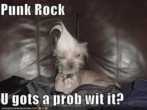 Punk Rock  U gots a prob wit it?