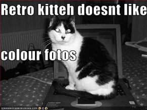Retro kitteh doesnt like colour fotos