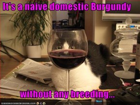 It's a naive domestic Burgundy  without any breeding...