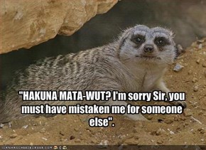 "HAKUNA MATA-WUT? I'm sorry Sir, you must have mistaken me for someone else".