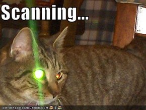 Scanning...
