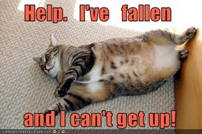 Help.   I've   fallen    and I can't get up!