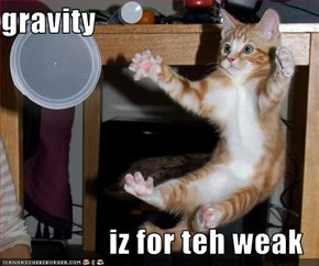 gravity  iz for teh weak