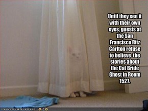 Until they see it with their own eyes, guests at the San Francisco Ritz Carlton refuse to believe  the stories about  the Cat Bride Ghost in Room 1527.