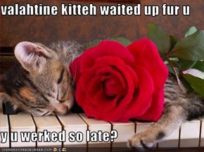 valahtine kitteh waited up fur u  y u werked so late?