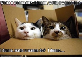 Watta u wanna do?   I dunno, watta u wanna do?  I dunno, watta u wanna do?   I dunno.....