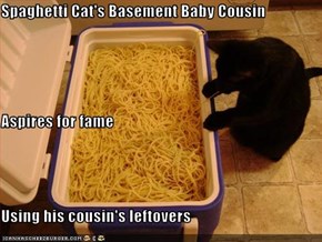 Spaghetti Cat's Basement Baby Cousin Aspires for fame Using his cousin's leftovers