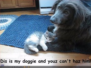 Dis is my doggie and youz can't haz him!