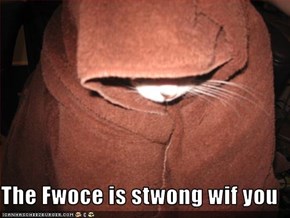 The Fwoce is stwong wif you