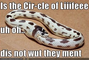 Is the Cir-cle of Liiifeee uh oh.. dis not wut they ment