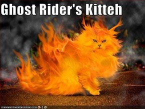 Ghost Rider's Kitteh