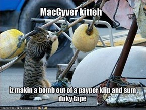 MacGyver kitteh 