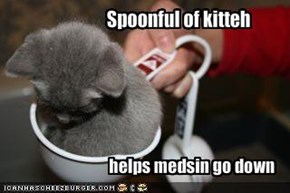 Spoonful of kitteh