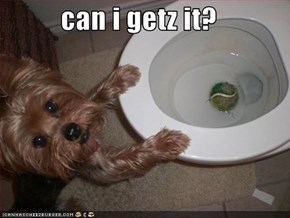 can i getz it?
