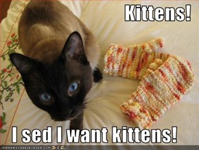 Kittens!  I sed I want kittens!