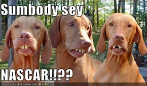 Sumbody sey  NASCAR!!??