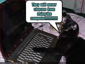 They  will  never  stop me  from  using the computer!!!!!!!!!!!!
