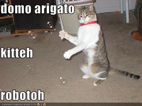 domo arigato kitteh robotoh
