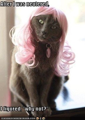 After I was neutered,  I figured, "why not?"