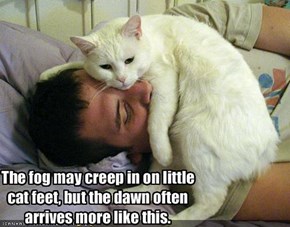 The fog may creep in on littlecat feet, but the dawn oftenarrives more like this.
