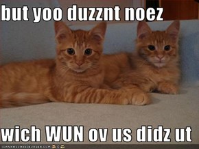 but yoo duzznt noez  wich WUN ov us didz ut