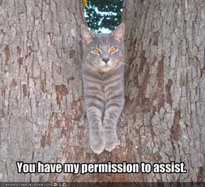 You have my permission to assist.