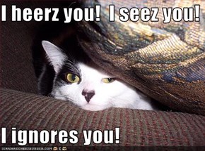 I heerz you!  I seez you!  I ignores you!