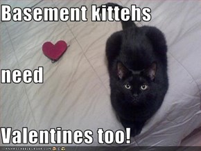 Basement kittehs need Valentines too!