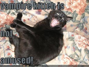 vampire kitteh is not amused!