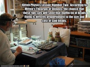 Kitteh Physics Lesson  Number Two:  According to Mitten's Theorum of Shinees, the chance that these two cats will send that muffin tin of beads flying is directly proportionate to the size and cost of said beads.