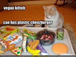 vegan kitteh