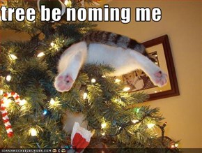 tree be noming me